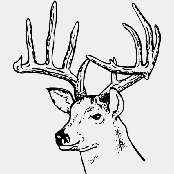 DEER014 Thumbnail