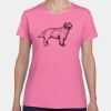 Heavy Cotton Women's T-Shirt Thumbnail