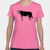 Heavy Cotton Women's T-Shirt Thumbnail