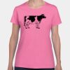 Heavy Cotton Women's T-Shirt Thumbnail