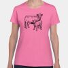 Heavy Cotton Women's T-Shirt Thumbnail
