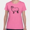 Heavy Cotton Women's T-Shirt Thumbnail