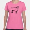 Heavy Cotton Women's T-Shirt Thumbnail