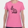 Heavy Cotton Women's T-Shirt Thumbnail