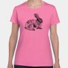 Heavy Cotton Women's T-Shirt Thumbnail